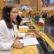 Συμμετοχή της Βουλής των Ελλήνων στην 2η  Σύνοδο του Κοινοβουλευτικού Φόρουμ Γυναικών της Κοινοβουλευτικής Συνέλευσης Μεσογείου (PAM)