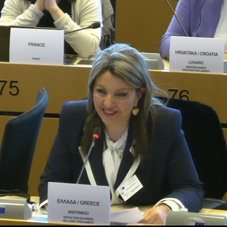 Η Βουλή των Ελλήνων συμμετείχε στη Διακοινοβουλευτική Συνεδρίαση της Επιτροπής Δικαιωμάτων των Γυναικών και Ισότητας των Φύλων του Ευρωπαϊκού Κοινοβουλίου.