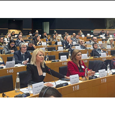 Συνεδρίαση της Επιτροπής Πολιτικών Ελευθεριών, Δικαιοσύνης και Εσωτερικών Υποθέσεων (LIBE) του Ευρωπαϊκού Κοινοβουλίου 