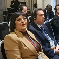 Στην πρόοδο της χώρας μας ως προς τις πολιτικές ενέργειας και περιβάλλοντος αναφέρθηκε η Πρόεδρος της Επιτροπής Περιβάλλοντος της Βουλής στην Ετήσια Κοινοβουλευτική Συνάντηση της Διάσκεψης του ΟΗΕ για την Κλιματική Αλλαγή