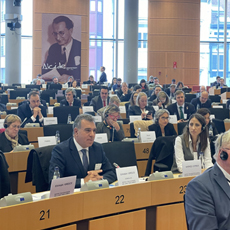 Inter-Parliamentary meeting of European Parliament Committee on Regional Development (REGI) 