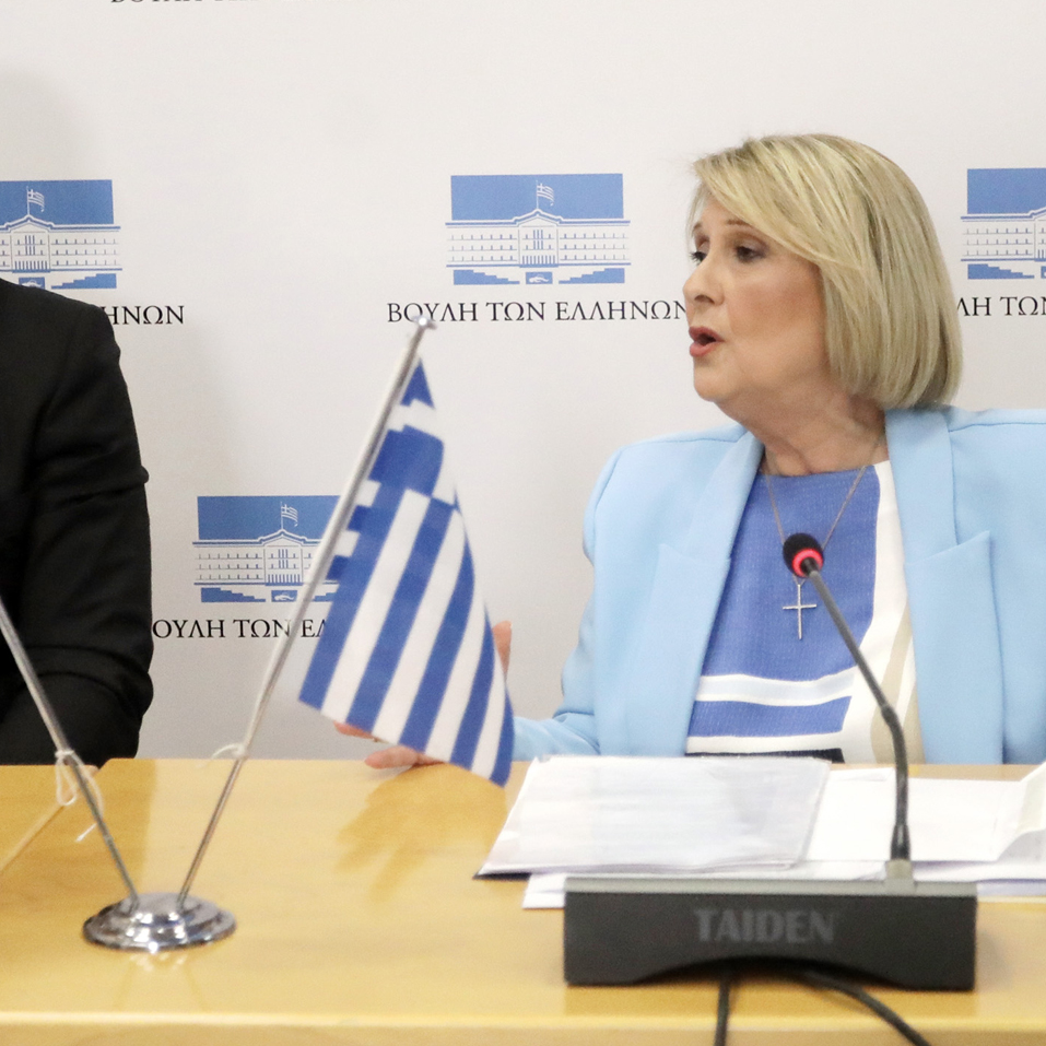 Συνάντηση μέλους της Διαρκούς Επιτροπής Εθνικής Άμυνας και Εξωτερικών Υποθέσεων με εκπρόσωπο του Προέδρου της Δημοκρατίας του Αζερμπαϊτζάν