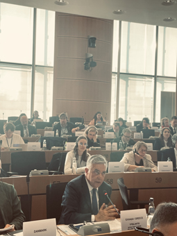 Ελληνική Κοινοβουλευτική εκπροσώπηση στη Διακοινοβουλευτική Συνεδρίαση της Υποεπιτροπής Ανθρωπίνων Δικαιωμάτων (DROI) του Ευρωπαϊκού  Κοινοβουλίου
