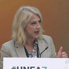 Εκπροσώπηση της Βουλής των Ελλήνων στην 7η Συνέλευση των Ηνωμένων Εθνών για το Περιβάλλον στο Ναϊρόμπι