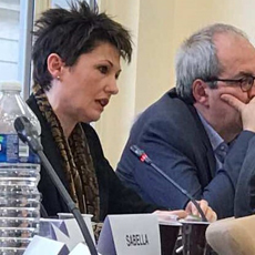 Αννέτα Καββαδία στο Συμβούλιο της Ευρώπης : Τουρκία-Παλαιστίνη απαιτούν την αφύπνιση της Ευρώπης  