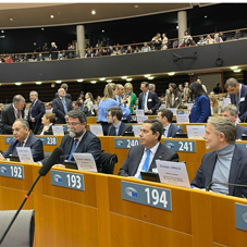 Parliamentary delegation at Plenary Meeting of European Parliamentary Week