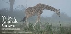Όταν τα Ζώα Πενθούν / When Animals Grieve<br/>