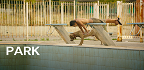 Park<br/>